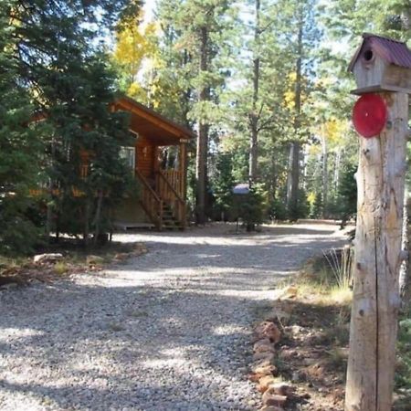 Adventure Awaits 3King Bed,2Bath Log Cabin In Heart Of Duck Creek Village! Luaran gambar